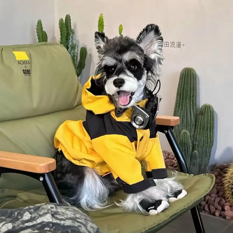 dog-cloth-912-842- (3)